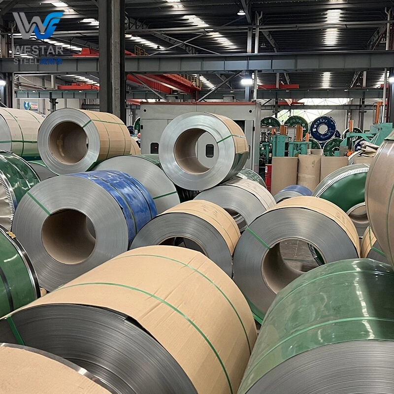 309 Stainless Steel Coil