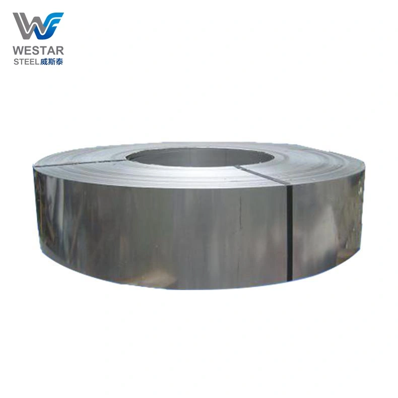 316 Stainless Strip
