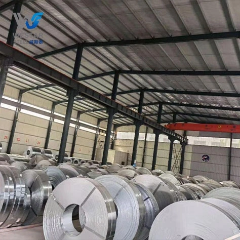 Stainless Strip