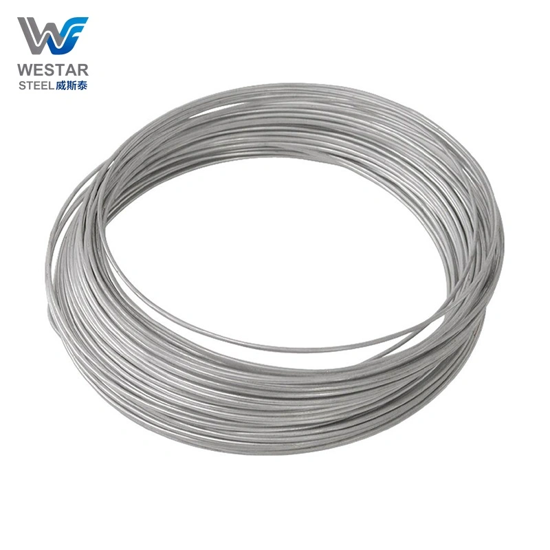 316 Stainless Steel Wire