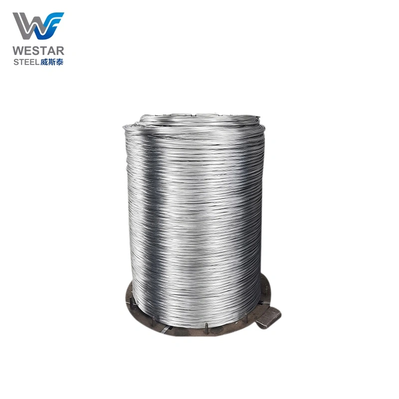 Stainless Steel Wire