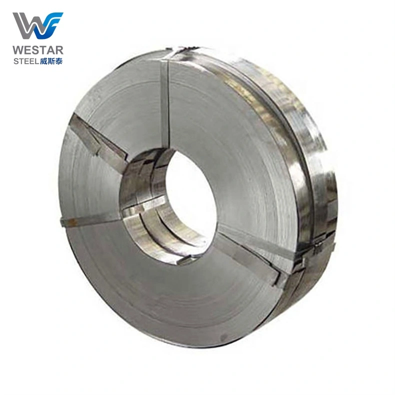 310 Stainless Strip
