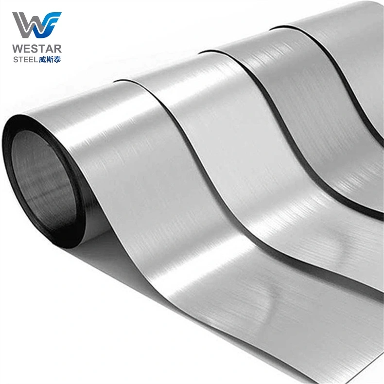 309 Stainless Strip