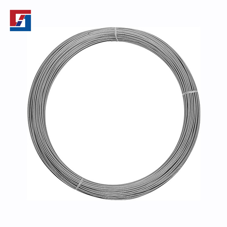 Stainless Steel Wire