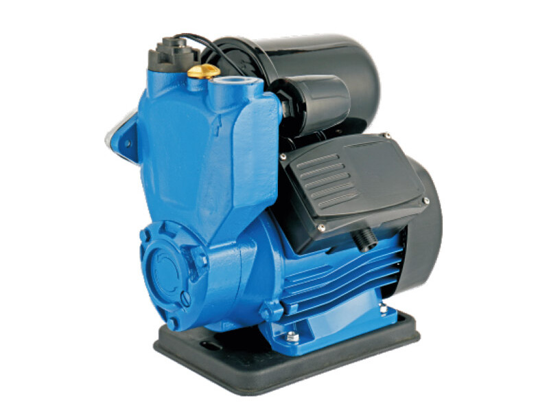 SPS Dual Switch Control Self Priming Water Pump