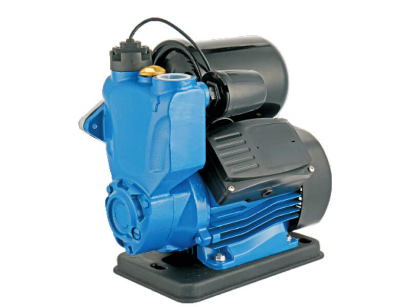 SPS Dual Switch Control Self Priming Water Pump