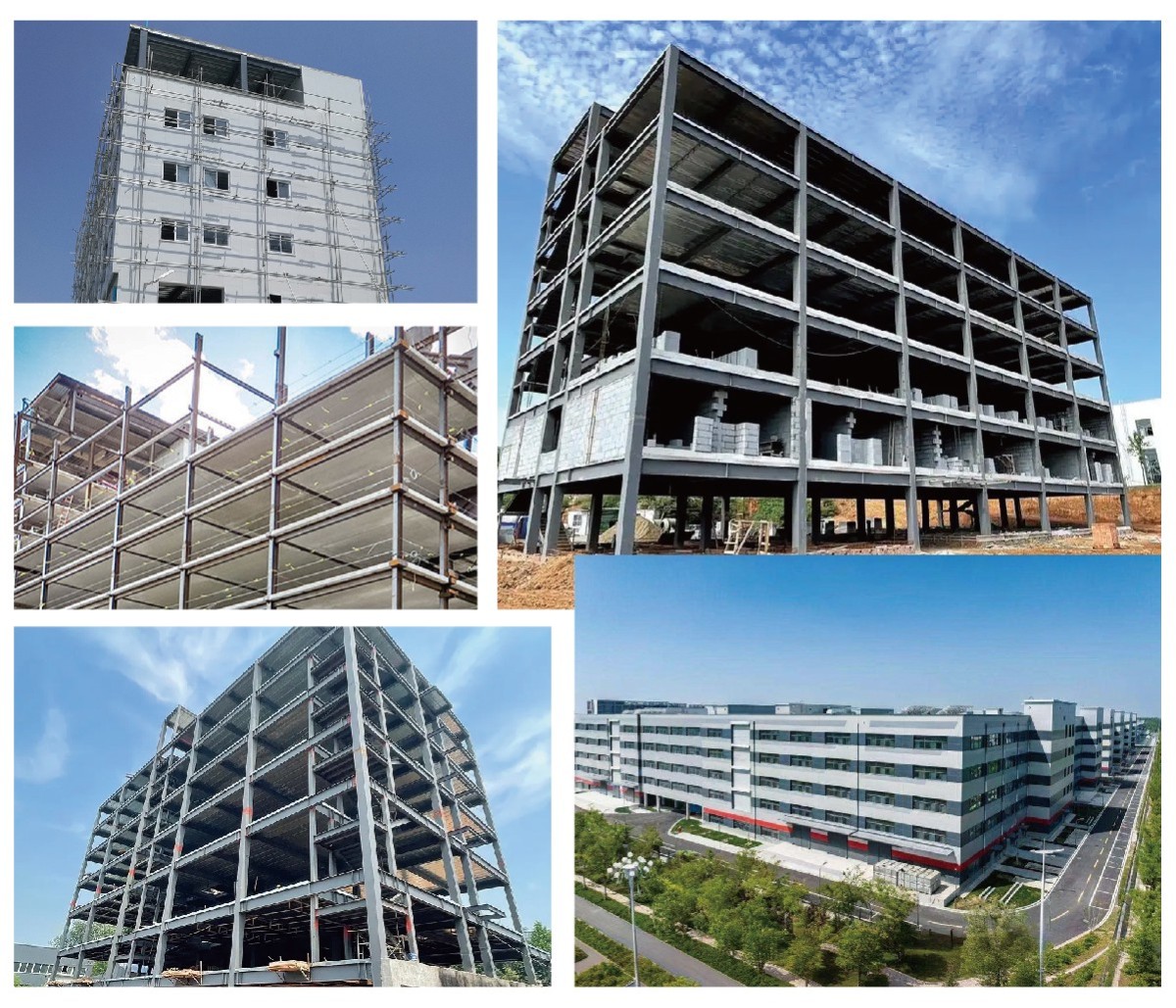 详情_画板 1 副本 14