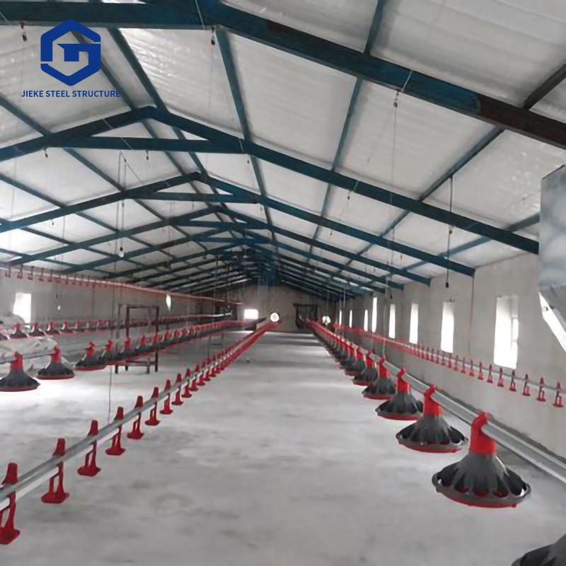 Prefabricated Steel Structure Chicken Coops for Farms: Steel Frame Chicken Sheds and Poultry House System Solutions