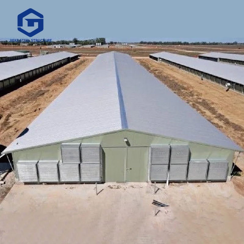 Prefabricated Steel Structure Chicken Coops for Farms: Steel Frame Chicken Sheds and Poultry House System Solutions