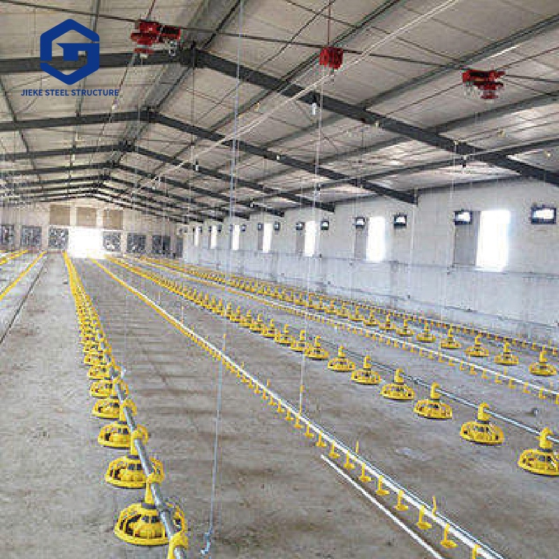 Prefabricated Steel Structure Chicken Coops for Farms: Steel Frame Chicken Sheds and Poultry House System Solutions