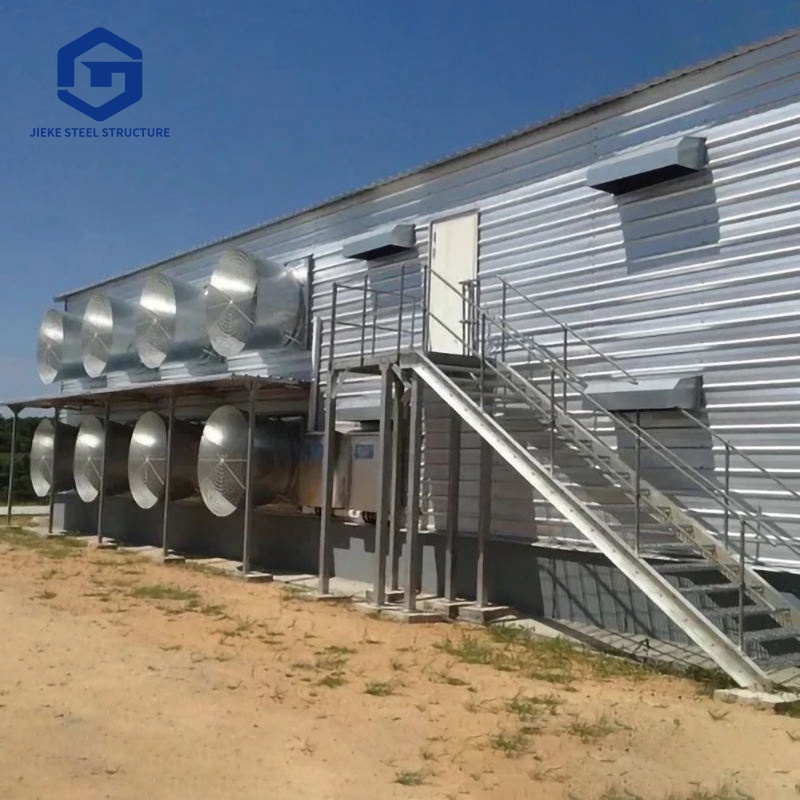 Prefabricated Steel Structure Chicken Coops for Farms: Steel Frame Chicken Sheds and Poultry House System Solutions