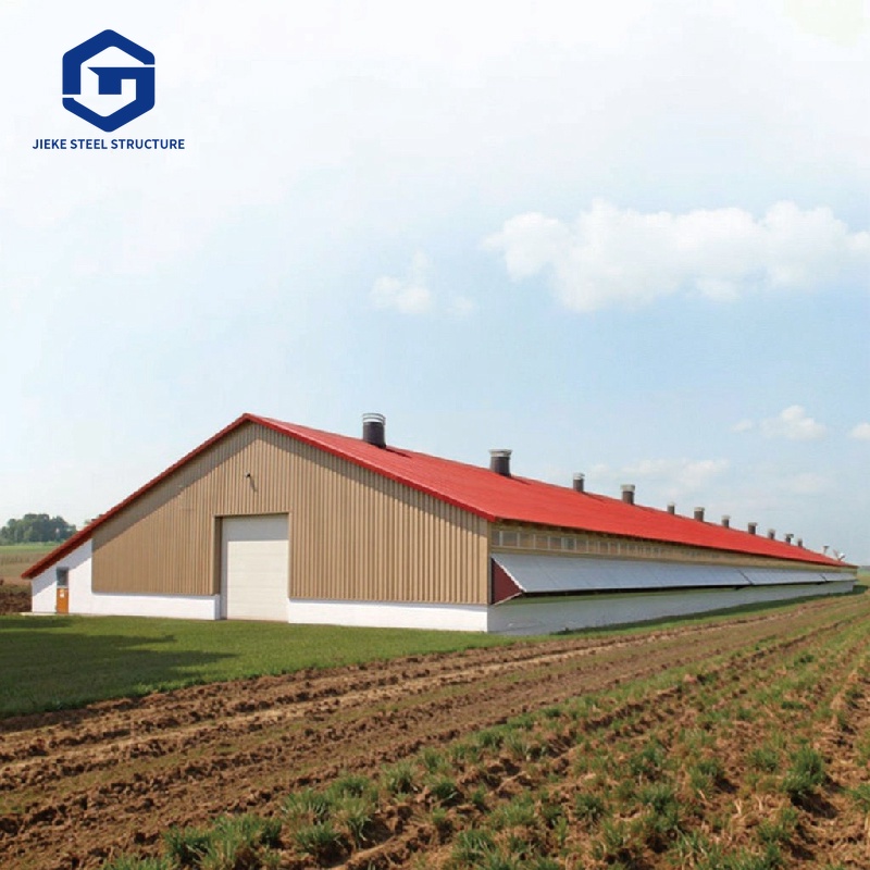 Prefabricated Steel Structure Chicken Coops for Farms: Steel Frame Chicken Sheds and Poultry House System Solutions