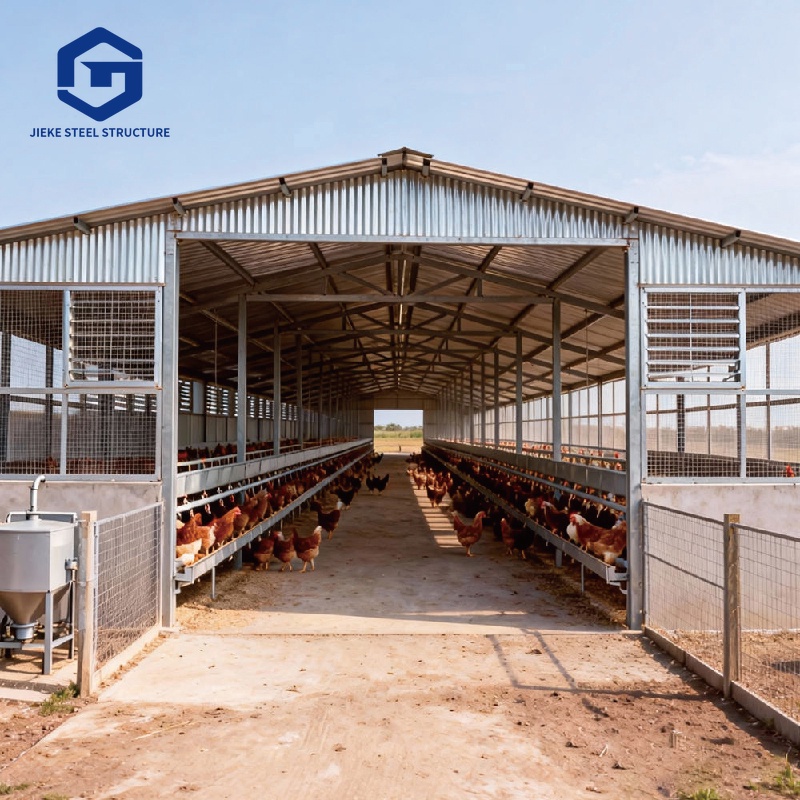 Low Cost Farm Shed Steel Structure Poultry Shed Construction House Chicken House