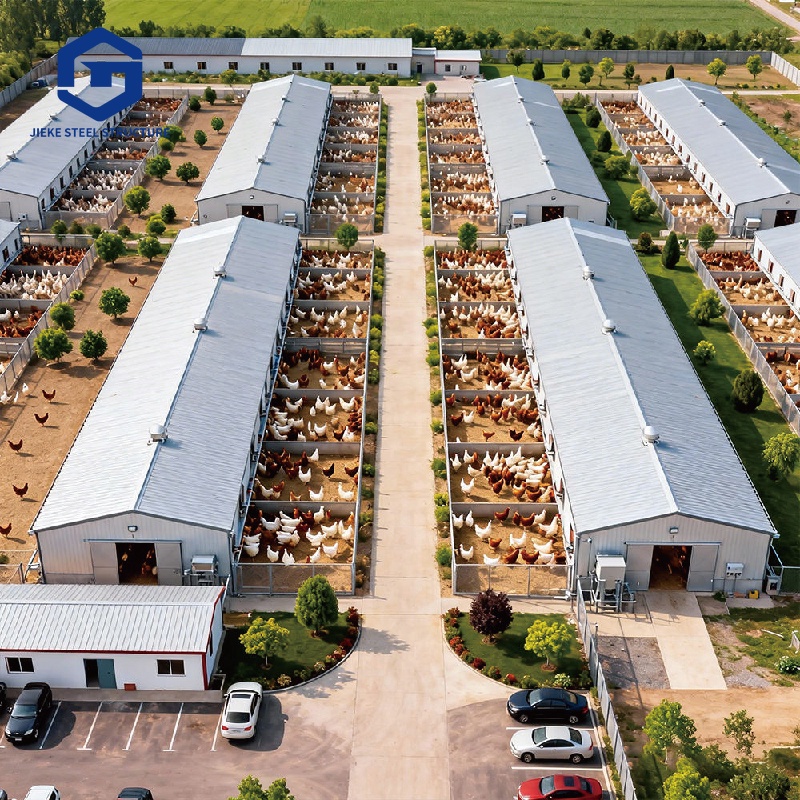 Low Cost Farm Shed Steel Structure Poultry Shed Construction House Chicken House