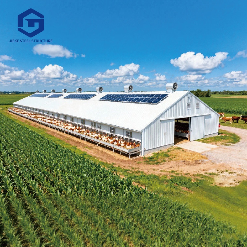 Low Cost Farm Shed Steel Structure Poultry Shed Construction House Chicken House