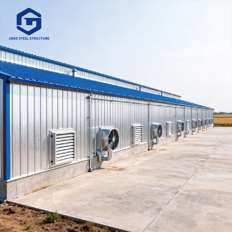 Low Cost Farm Shed Steel Structure Poultry Shed Construction House Chicken House