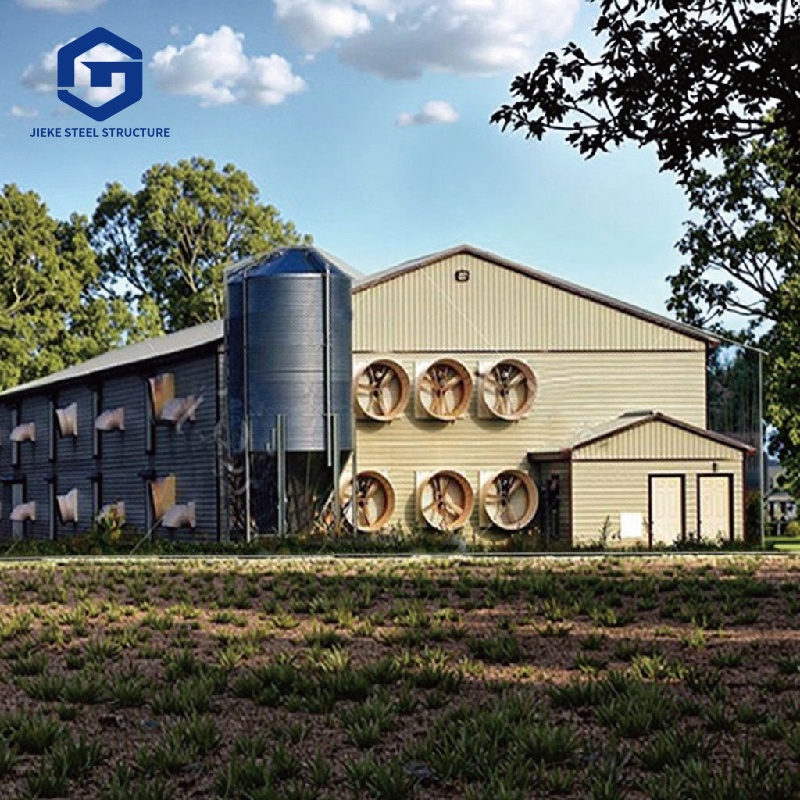 Low Cost Farm Shed Steel Structure Poultry Shed Construction House Chicken House