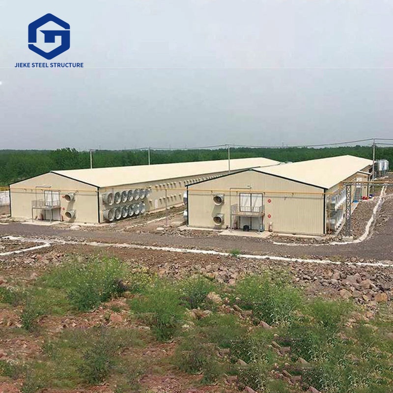 Eco-Conscious Chicken Housing: Steel Structures with a Green Twist