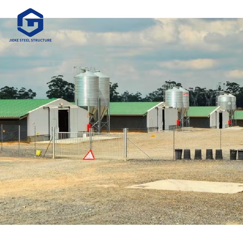 Eco-Conscious Chicken Housing: Steel Structures with a Green Twist