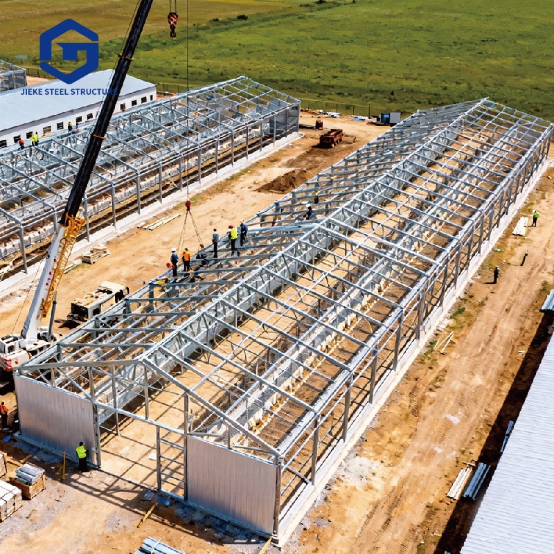 Structural poultry farm shed construction  Chicken farm building design  Affordable construction project  Steel structure  New chicken coop