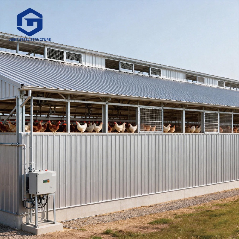 Structural poultry farm shed construction  Chicken farm building design  Affordable construction project  Steel structure  New chicken coop