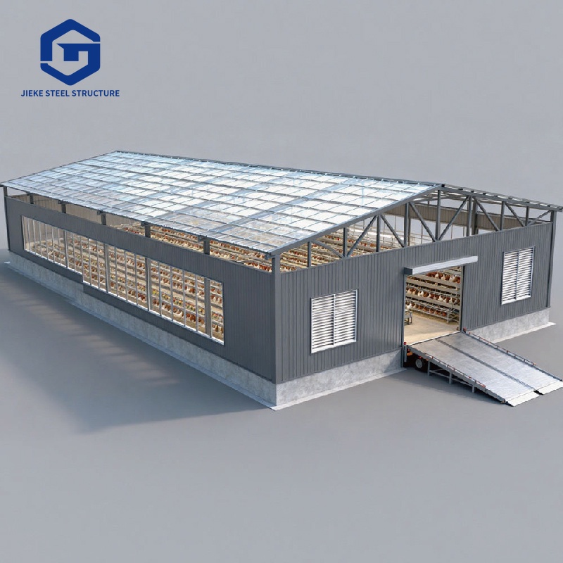 Structural poultry farm shed construction  Chicken farm building design  Affordable construction project  Steel structure  New chicken coop