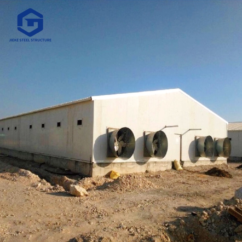 Structural poultry farm shed construction  Chicken farm building design  Affordable construction project  Steel structure  New chicken coop