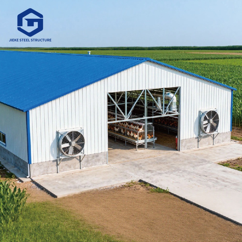 Steel Structure Chicken Shed Workshop Farm House Design Construction Coop Poultry