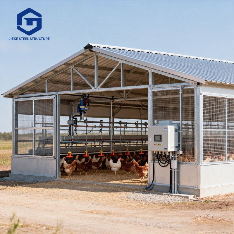 Steel Structure Chicken Shed Workshop Farm House Design Construction Coop Poultry