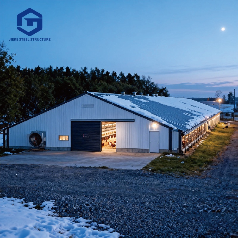 Steel Structure Chicken Shed Workshop Farm House Design Construction Coop Poultry