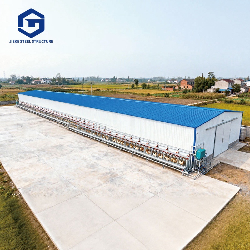 Steel Structure Chicken Shed Workshop Farm House Design Construction Coop Poultry