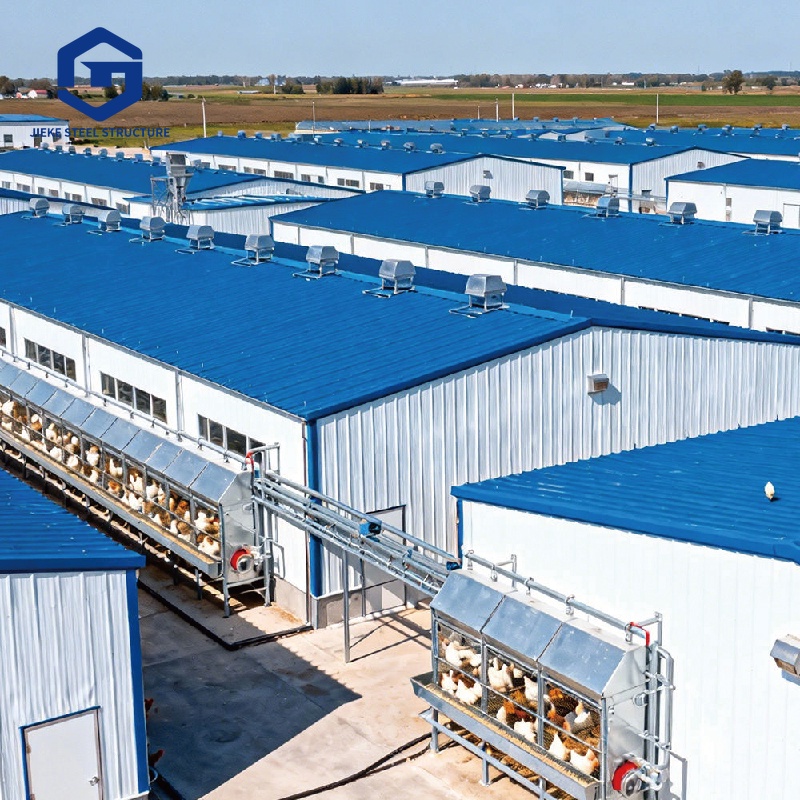 Steel Structure Chicken Shed Workshop Farm House Design Construction Coop Poultry