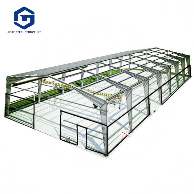 Lightweight Steel Structure Chicken Farm Construction Small-scale Building Steel Structure Chicken Farms