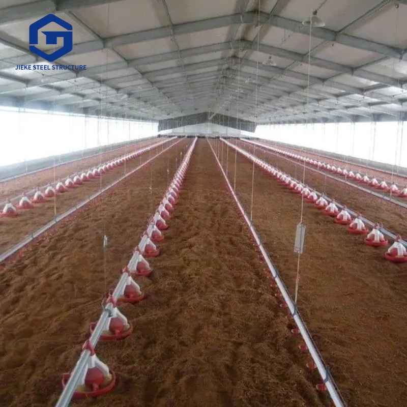 Quickly assembled prefabricated steel structure poultry farm shed construction layer chicken house