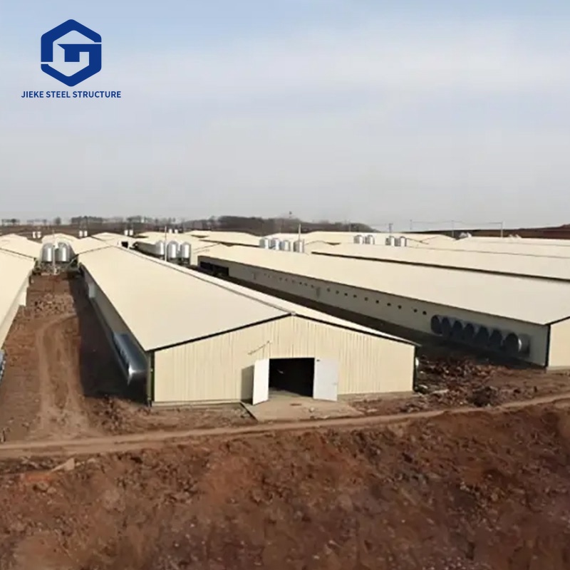 China Prefabricated Steel Structure Poultry House High-quality Metal Frame Building Chicken Farm