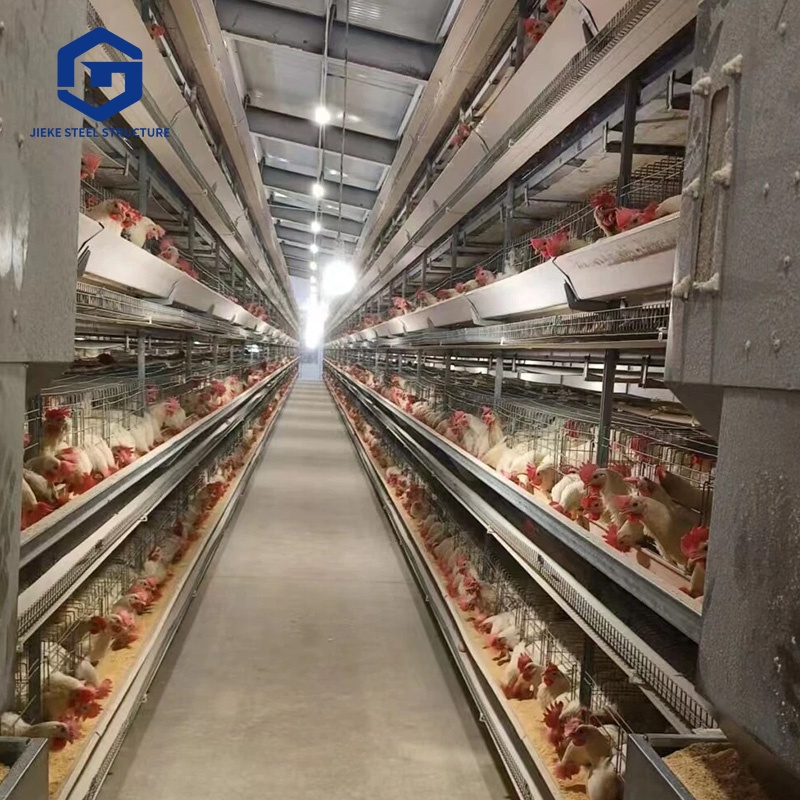 China Prefabricated Steel Structure Poultry House High-quality Metal Frame Building Chicken Farm
