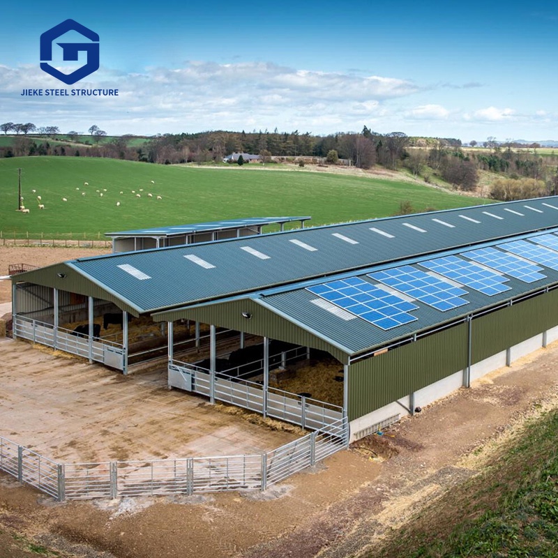 Large Scale Commercial Poultry Farm Prefabricated Metal Building Prefab Steel Structure Poultry House