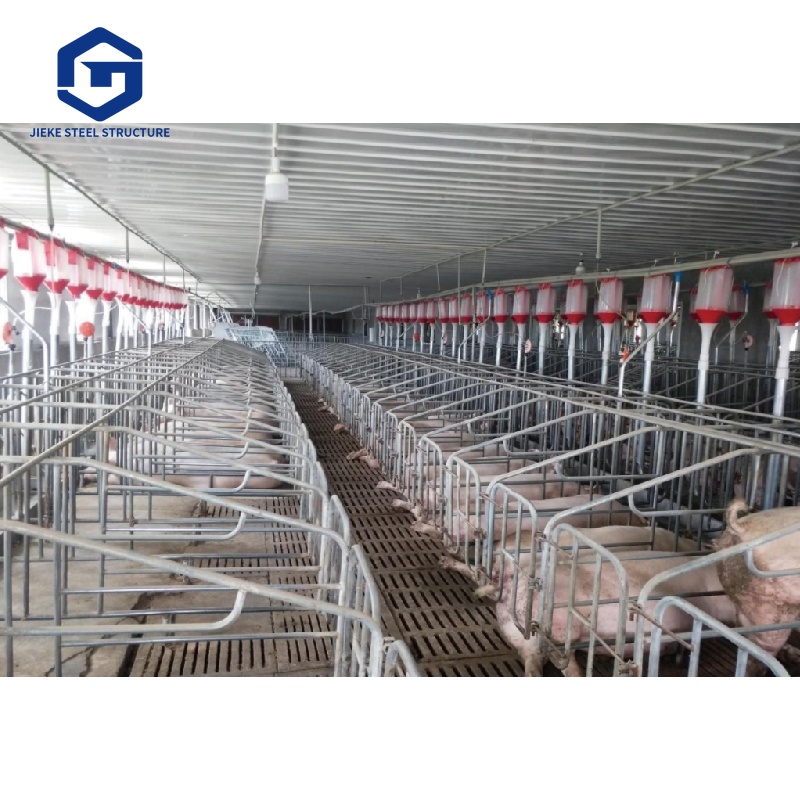 Modern Farm Pig House Steel Structure for Workshop Farmhouse or Garage Shed