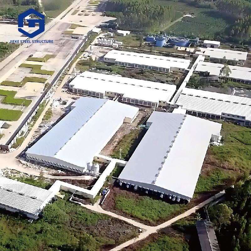 Steel Structure Pig Farming House Automatic Hog Shed Prefab Pig Pen Feeding System Pig House Kits Frame Cow Shed