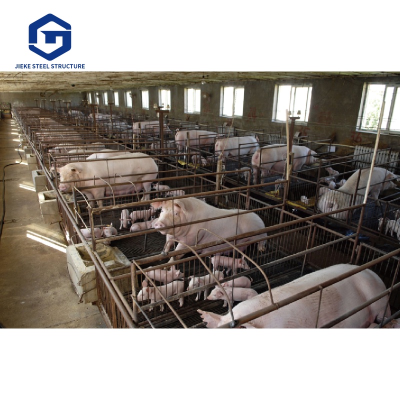 Industrial Modern Design Prefabricated Steel Structure Breeding Warehouses Poultry Houses Pigsties Farmhouses Pig Chicken House
