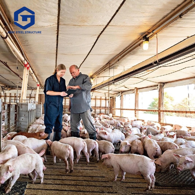 Free Range Steel Structure Poultry Pig Farm House Prefab Metal Piggery Shed 