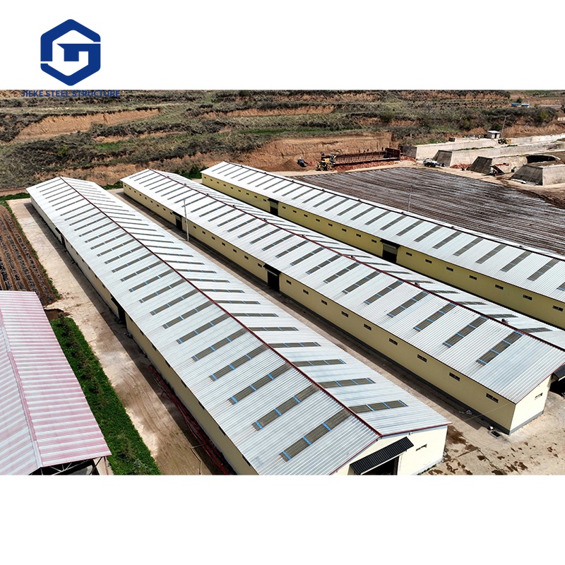 Large steel structure farmhouse building, suitable for sheep, cattle and pig farming