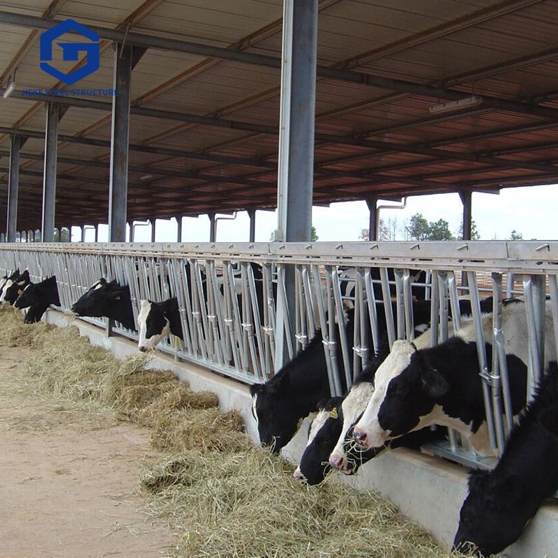 China Design Low Cost Prefabricated Steel Cow Cattle Sheep Chicken Poultry Farm Building House