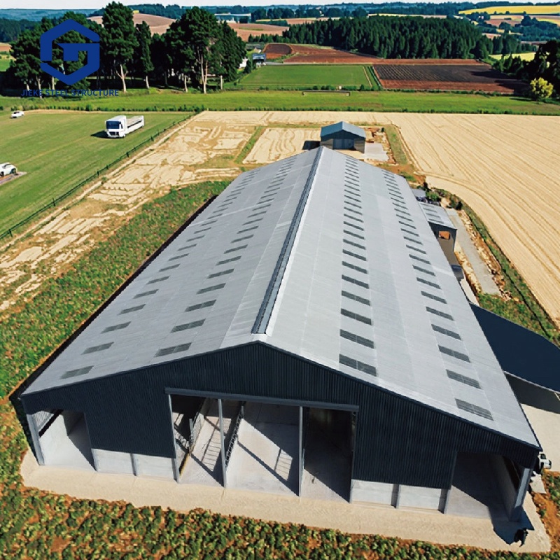 Custom Durable Steel Structure Cow Barn Prefabricated Ventilated Shed
