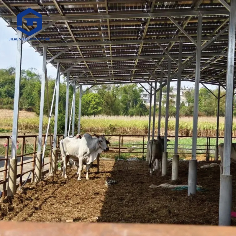 Custom Durable Steel Structure Cow Barn Prefabricated Ventilated Shed