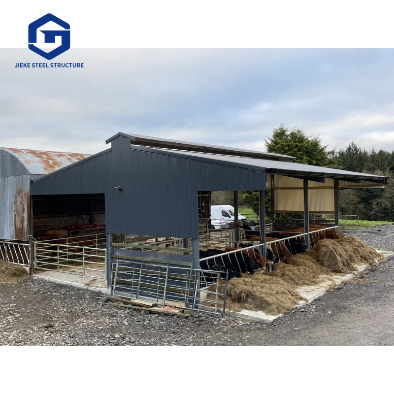 Prefabricated Steel Structure Chicken Coop & Cattle Shed Durable Anti-Corrosive for Livestock Farming
