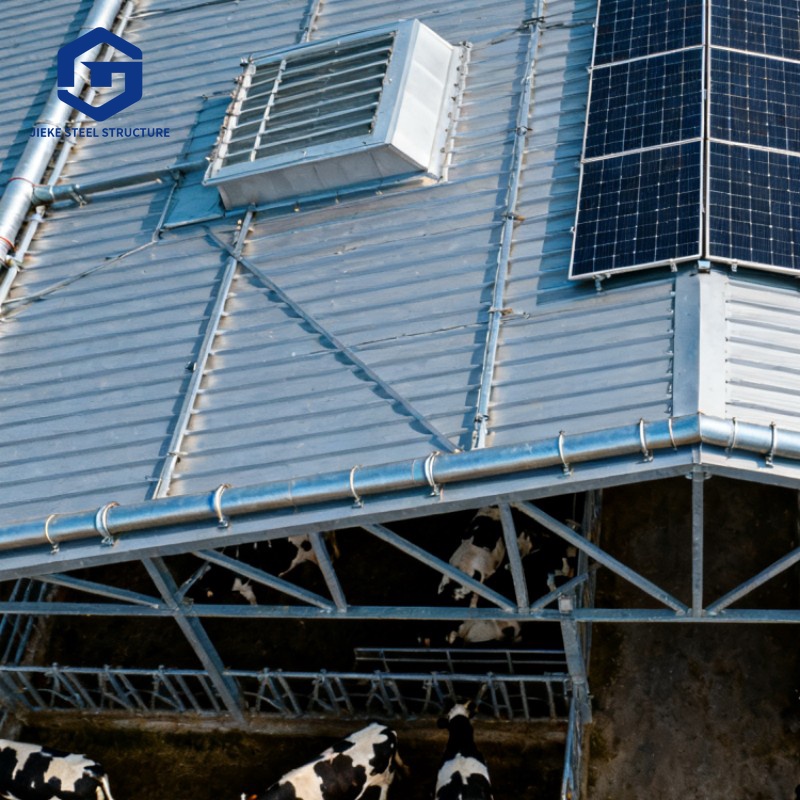 Prefabricated Steel Structure Chicken Coop & Cattle Shed Durable Anti-Corrosive for Livestock Farming