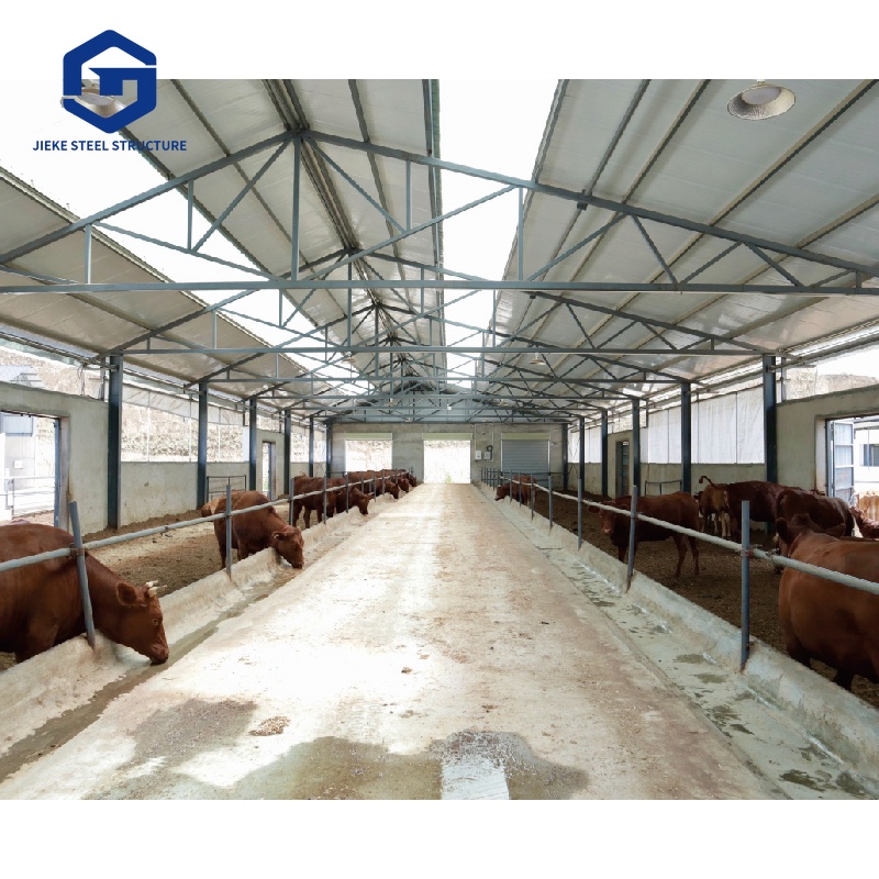 Prefabricated Steel Structure Chicken Coop & Cattle Shed Durable Anti-Corrosive for Livestock Farming