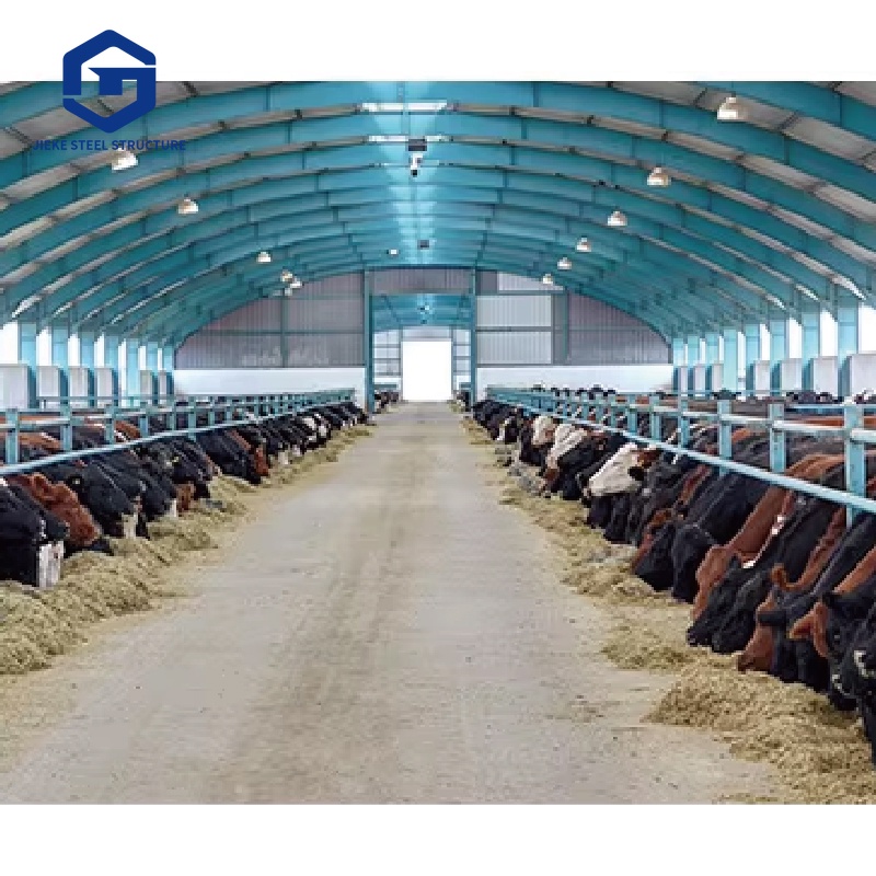 Prefabricated Steel Structure Chicken Coop & Cattle Shed Durable Anti-Corrosive for Livestock Farming