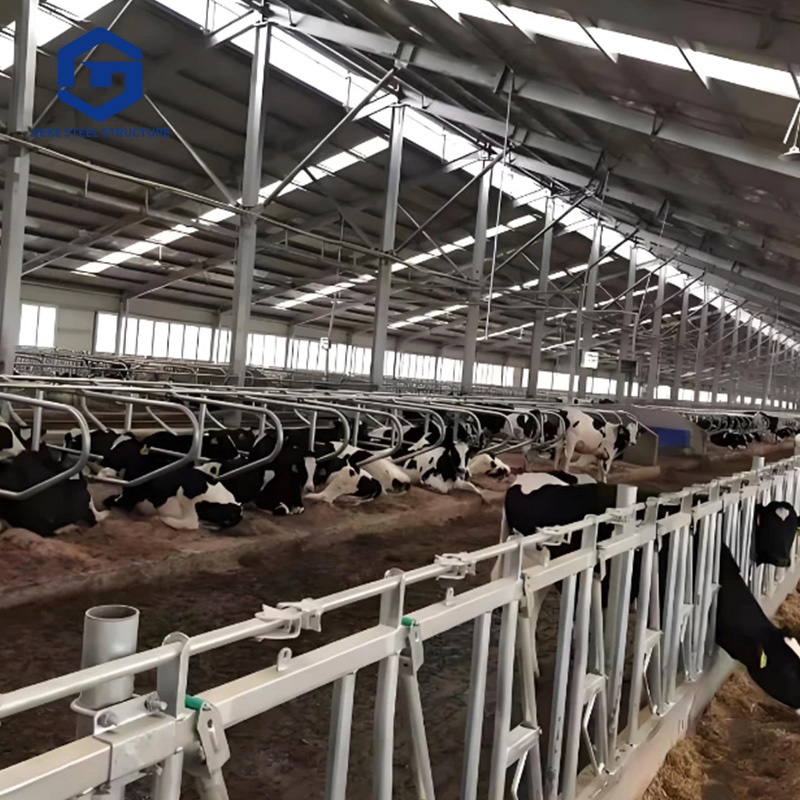 Farmhouse barn, cattle shed, steel structure prefabricated livestock shed